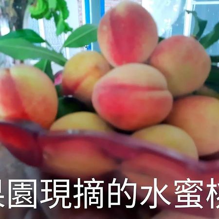 Taitung Linyuan B&B Donghe Zewnętrze zdjęcie