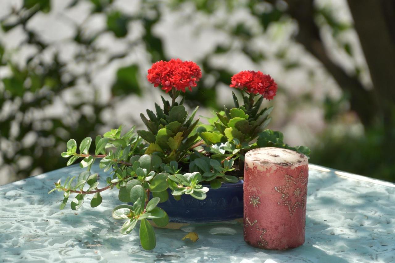 Taitung Linyuan B&B Donghe Zewnętrze zdjęcie