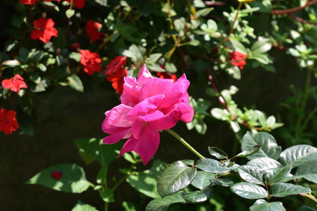 Taitung Linyuan B&B Donghe Zewnętrze zdjęcie